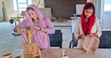 Govt targets to train over 6 lakh rural youth via RSETIs