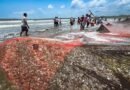 Fisheries conclave to help improve market access, returns for fishermen: Govt