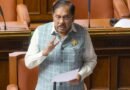<div>Manja thread death: K’taka Dy CM warns of stringent action, says reckless use can invite criminal charges</div>