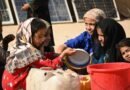 Nearly 16 million people face acute food insecurity in Afghanistan: UN