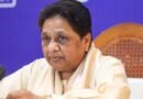 Mayawati hits out at Akhilesh Yadav over RS candidates, says SP deceiving PDA