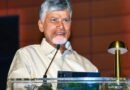 Horticulture hub to transform Rayalaseema: CM Naidu