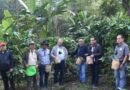 <div>NEC Secretary stresses integrated approach to boost coffee farmers’ income in Nagaland</div>
