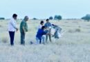 Milestone move: Union Minister Bhupender Yadav releases two rare Great Indian Bustards in Jaisalmer