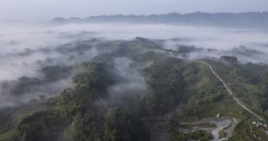 El Nino, Atlantic warming could offer early warning of Amazon heat: Study
