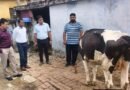 <div>J&K: Central team visits areas affected by animal LSD</div>