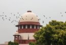 SC orders fresh elections in two more Patiala municipal wards