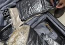 Hydroponic weed valued at Rs 44.27 lakh concealed in trolley bag seized at Pune airport; passenger arrested