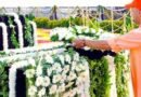 ‘Their valour inexhaustible source of inspiration’: CM Yogi pays tribute to police martyrs on Police Commemoration Day