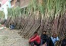 <div>Maharashtra ethanol industry faces crisis over Centre’s procurement curbs</div>