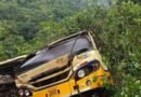 Tamil Nadu: Bus driver killed in Nilgiris landslide; 50 passengers escape after tyre puncture