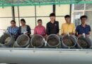<div>Kerala’s national fisheries institute supplies one million mussel seeds to Maharashtra</div>