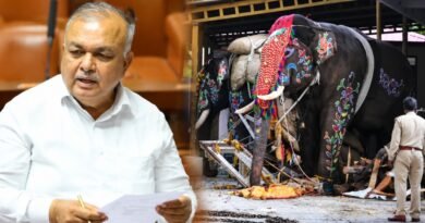 Karnataka Minister Orders Strict Guidelines for Use of Elephants in Public Events